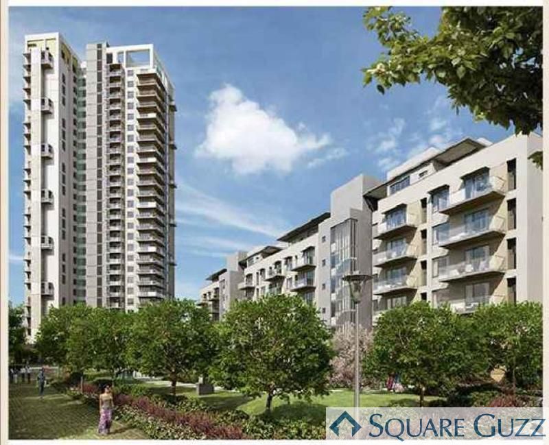 Vatika Gurgaon 21